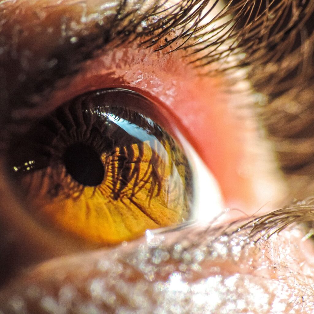 tanzeel stock photos (2)